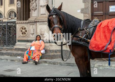 Florenz, Italien - 10. Mai 2010: Neugieriges Pferd auf der Straße von Florenz, Italien. Stockfoto