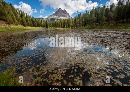 Italienischer Lago d'Antorno oder Antorno See Sommer Natur Foto mit atemberaubenden Tre Cime di Lavaredo 299m Gipfel im Hintergrund in der Provinz Belluno, kurz Stockfoto