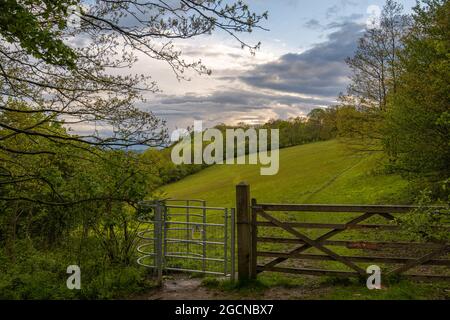 Abendwolken und ein Zaun und Tor zu einem Feld am Rande der North Downs, in der Nähe von Vigo Dorf Kent. Stockfoto