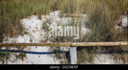 Sandige Düne, teilweise mit Gras bewachsen, mit Holzbarriere an der Küste der Ostsee bei Zingst Stockfoto