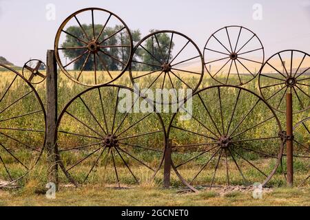 Metallwagen-Radzaun, Dahmen Barn, Uniontown, Palouse, Staat Washington, USA. Stockfoto