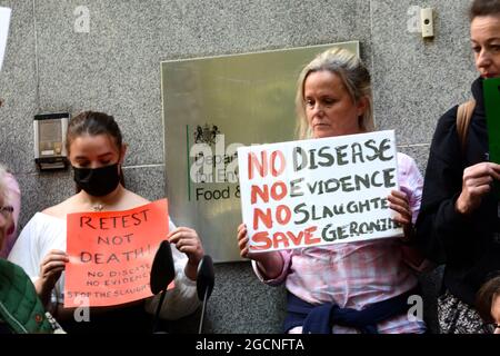 Die Demonstranten trafen sich bei der DEFRA und marschierten dann zur Downing Street, um gegen das Todesurteil gegen Geronimo, den Alpaka, zu protestieren. Stockfoto