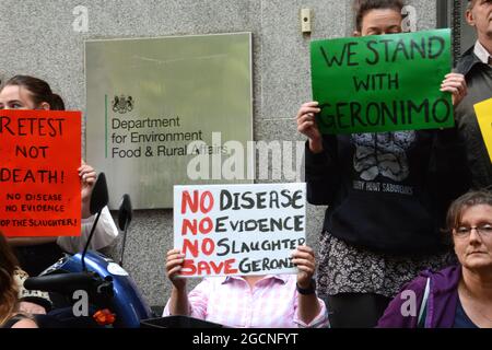 Die Demonstranten trafen sich bei der DEFRA und marschierten dann zur Downing Street, um gegen das Todesurteil gegen Geronimo, den Alpaka, zu protestieren. Stockfoto