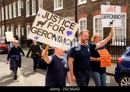 Die Demonstranten trafen sich bei der DEFRA und marschierten dann zur Downing Street, um gegen das Todesurteil gegen Geronimo, den Alpaka, zu protestieren. Stockfoto