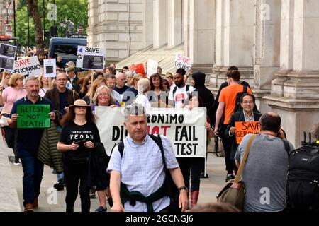 Die Demonstranten trafen sich bei der DEFRA und marschierten dann zur Downing Street, um gegen das Todesurteil gegen Geronimo, den Alpaka, zu protestieren. Stockfoto