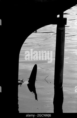 AJAXNETPHOTO. NOVEMBER 1982. CONFLANS SAINTE HONORINE, YVELINES, FRANKREICH. - ALLE MOTOREN GESTOPPT - PROPELLERKLINGE AUF ALTEN PENICHE BARGE JETZT ALS HAUSBOOT AM FLUSSUFER VERTÄUT VERWENDET. FOTO: JONATHAN EASTLAND/AJAX REF:822411 Stockfoto