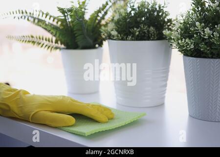 Hand in gelben Handschuh wischt Wahrheit mit Lappen auf Fensterbank Stockfoto