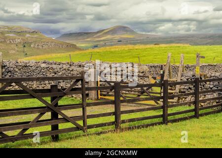 Pen-y-Ghent ist einer der berühmten Yorkshire Dales 3 Peaks. Mit 694 Metern oder 2,277 Fuß über dem Meeresspiegel ist er der kleinste der drei Stockfoto