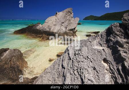 Felsen und kristallklares Wasser auf lord howe Island Stockfoto