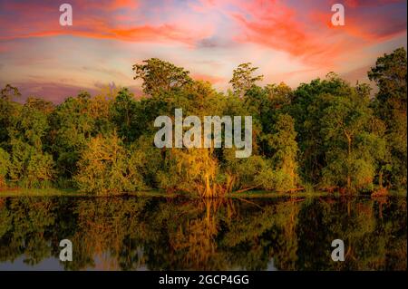Das Bild wurde auf der I55 South um Ruddock, Louisiana, aufgenommen. Spiegelung von Zypressen im Manchac-Sumpf. Stockfoto