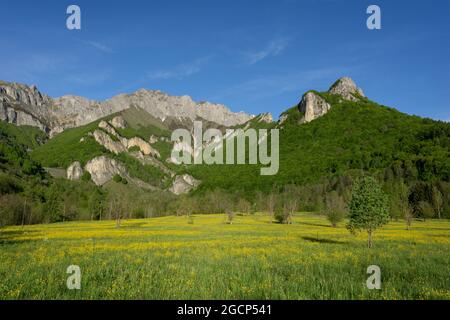 Klippen von Entracque in den Seealpen (Valle Gesso, Cuneo, Piemont, Italien) Stockfoto