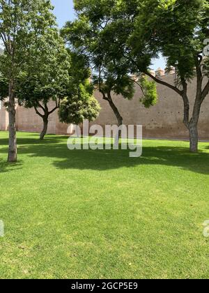 Alte Lehmwand der Kasbah der oudayas in der Medina von Rabat Stockfoto