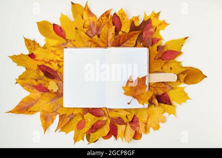 Hallo Herbst. Herbst flach lag mit Notizbuch und Blätter auf weißem Hintergrund. Stockfoto