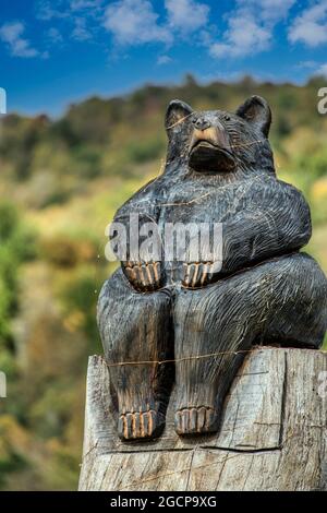 Ein geschnitzter schwarzer Bär sitzt auf einer Stange am Eingang zum Valle Crucis Community Park in Valle Crucis, Nordkarolien. Stockfoto