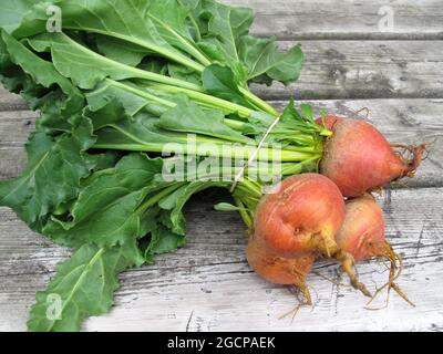 Frische orangefarbene Rüben mit Blättern auf grauem Holzboden Stockfoto