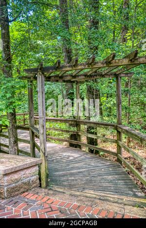 Der erhöhte Boardwalk, der durch den größten Laubwald mit altem Baumbestand in den USA im Congaree National Park in South Carolina führt. Stockfoto