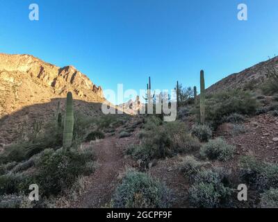 Landschaften entlang der Superstition Mountains auf dem Arizona Trail, Arizona, USA Stockfoto