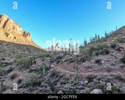 Landschaften entlang der Superstition Mountains auf dem Arizona Trail, Arizona, USA Stockfoto