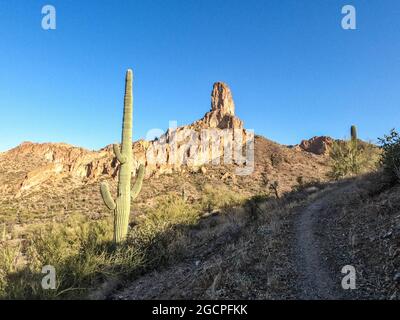 Landschaften entlang der Superstition Mountains auf dem Arizona Trail, Arizona, USA Stockfoto