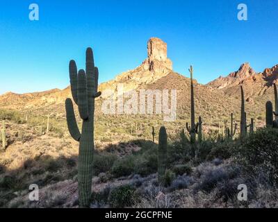 Landschaften entlang der Superstition Mountains auf dem Arizona Trail, Arizona, USA Stockfoto