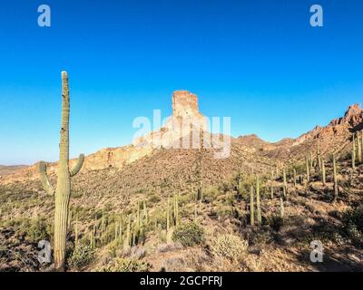 Landschaften entlang der Superstition Mountains auf dem Arizona Trail, Arizona, USA Stockfoto