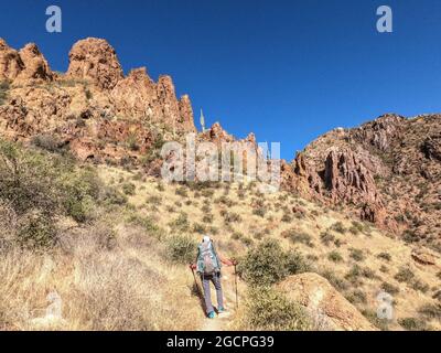 Wandern durch die Sonoran Wüste auf dem Arizona Trail, Arizona, U. S. A. Stockfoto