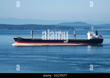 Massengutfrachter befahren die Gewässer des Golfs von Georgia, British Columbia, Kanada Stockfoto