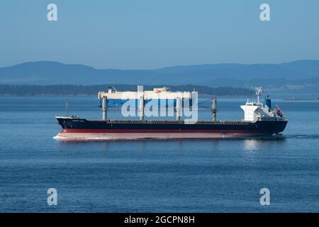 Massengutfrachter befahren die Gewässer des Golfs von Georgia, British Columbia, Kanada Stockfoto