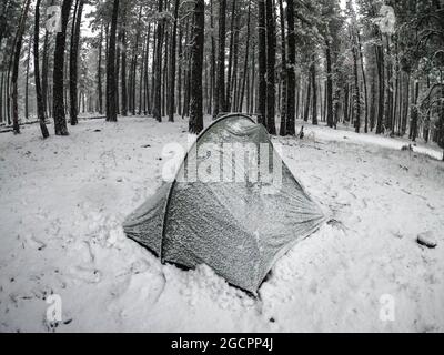 Camping im Schnee auf dem Mogollon Rim, Mormon Lake, Arizona, USA Stockfoto