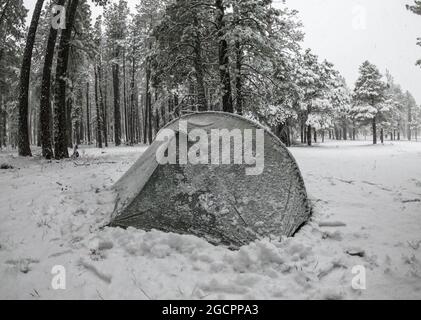 Camping im Schnee auf dem Mogollon Rim, Mormon Lake, Arizona, USA Stockfoto