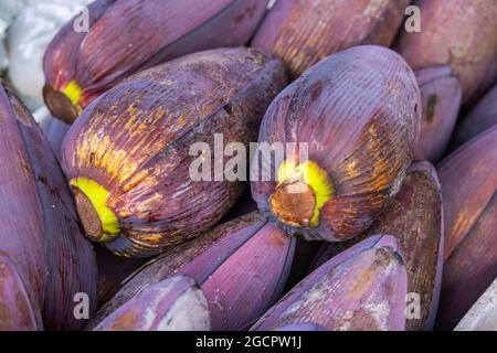 Ein Haufen Bananenblüten oder Bananenherz auf einem Tresen in einem frischen Markt in Kuala Lumpur, Malaysia. Die Bananenblume wird in asien zum Kochen als verwendet Stockfoto
