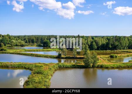 Von der Leiter zu den Karpfenteichen. Tirschenreuther Teichpfanne, Vizinalradweg Wiesau Tirschenreuth Baernau, Oberpfalz, Bayern, Deutschland Stockfoto