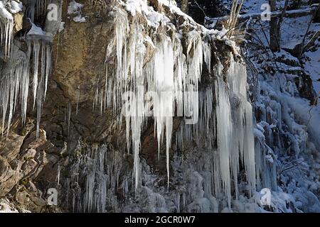 Eiszapfen am eisigen Wasserfall, Winterlandschaft, Todtnau Wasserfall, Feldberg, Schwarzwald, Baden-württemberg, Deutschland Stockfoto