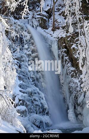 Eiswasserfall, Winterlandschaft, Todtnau Wasserfall, Feldberg, Schwarzwald, Baden-Württemberg, Deutschland Stockfoto