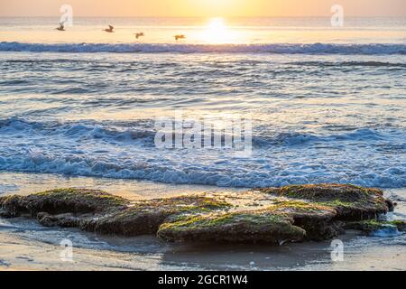 Sonnenaufgang am Strand von Florida im Washington Oaks Gardens State Park in Palm Coast, Florida. (USA) Stockfoto