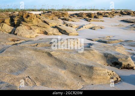 Coquina rockt am Strand im Washington Oaks Gardens State Park in Palm Coast, Florida. (USA) Stockfoto