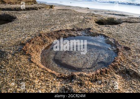 Coquina Rock Pool an der Küste im Washington Oaks Gardens State Park in Palm Coast, Florida. (USA) Stockfoto