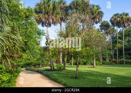 Pfad durch die formellen Gärten im Washington Oaks Gardens State Park in Palm Coast, Florida. (USA) Stockfoto