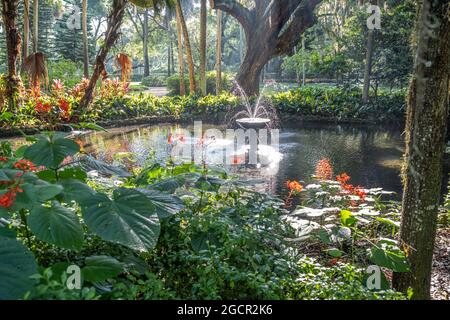 Formelle Gärten im wunderschönen Washington Oaks Gardens State Park in Palm Coast, Florida. (USA) Stockfoto