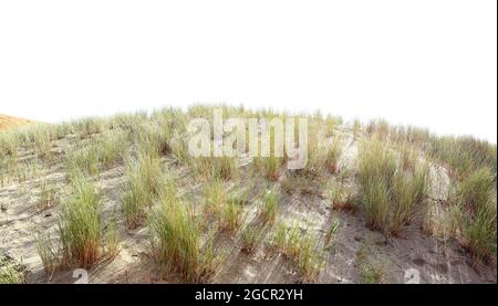 Sanddüne mit Seegras auf weißem Hintergrund. Stockfoto