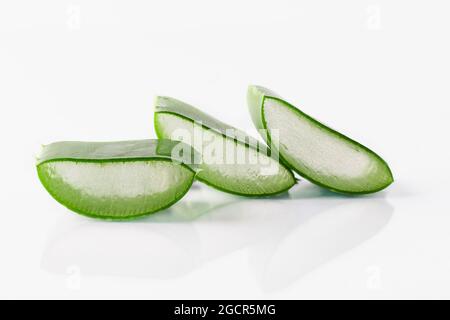 Aloe Vera Pflanzenscheiben isoliert auf weißem Hintergrund. Aloe Vera für Naturkosmetik und alternative Medizin. Stockfoto