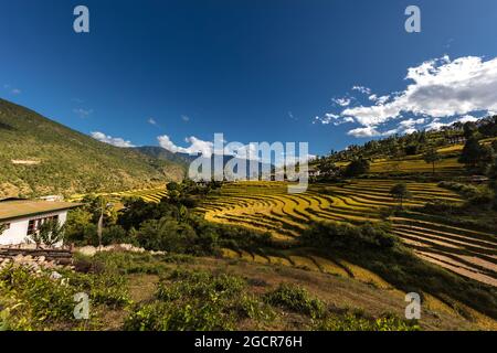 Landschaftlich schöner Weitwinkel-Panoramablick über die Landschaft von Bhutan, Himalaya. Aufgenommen um das Punakha Dzong Kloster in Bhutan. Epische Landschaft mit blauen s Stockfoto