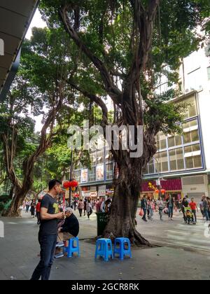 Ein Chinese wartet vor dem vietnamesischen Restaurant Tiger Prawn an der Beijing Road in Guangzhou mit einem alten Baum und Tonnen von Touristen Stockfoto