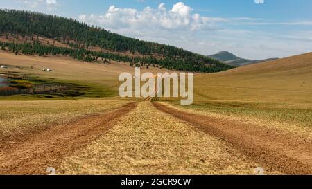 Eine nicht versiegelte Straße an der mongolischen Steppe. Mongolische Landschaft bei Arhangai-Aimag - Mongolei. Gelbes Gras unter blauem Himmel mit weißen Wolken. Karge Fores Stockfoto