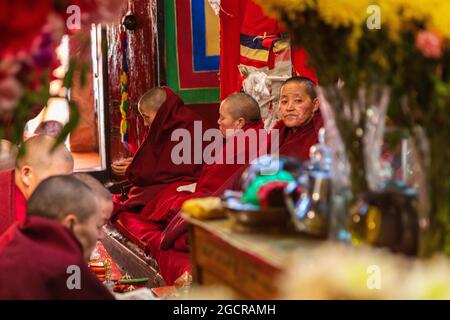 Lhasa, China - 23. Oktober 2020 - Bhikkhunis in traditioneller roter Robe in einem Kloster. Eine buddhistische Nonne oder weibliche Monastiker während des Gebets Stockfoto