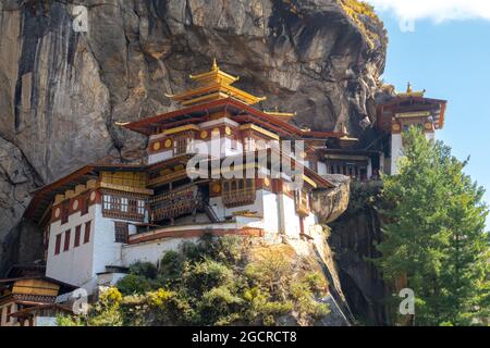 Das Tigernest-Kloster im Himalaya von Bhutan. Auch bekannt als Taktsang Lhakhang, Bhutans berühmtestes Wahrzeichen und religiöser Ort. Die Aussicht danach Stockfoto