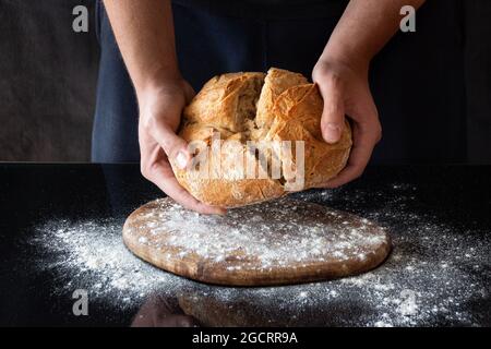 Frisch gebackenes Bio-Brot wird von Baker in Bakery auf einem mit Mehl bedeckten Brett zerrissen Stockfoto