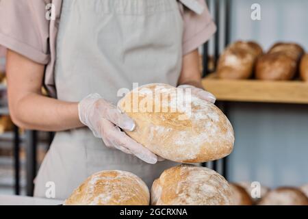 Die Hände einer jungen Bäckerin mit Handschuhen halten Laib frisch gebackenes Brot Stockfoto