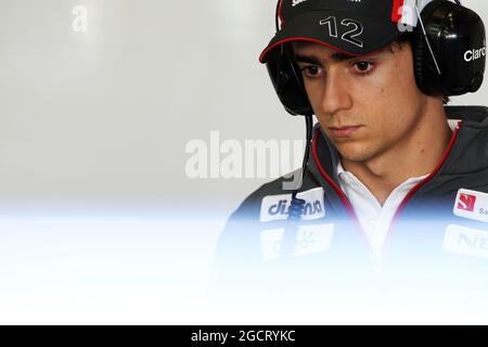 Esteban Gutierrez (MEX) sauber. Formel-1-Tests, erster Tag, Dienstag, 5. Februar 2013. Jerez, Spanien. Stockfoto