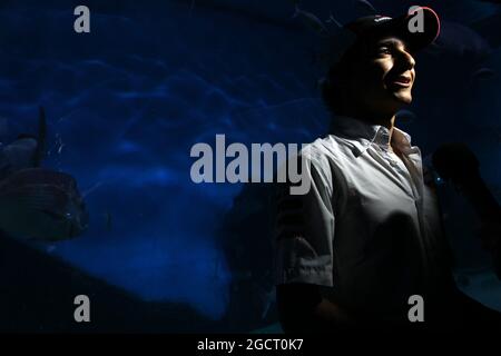 Esteban Gutierrez (MEX) sauber im Melbourne Aquarium. Großer Preis von Australien, Mittwoch, 13. März 2013. Albert Park, Melbourne, Australien. Stockfoto